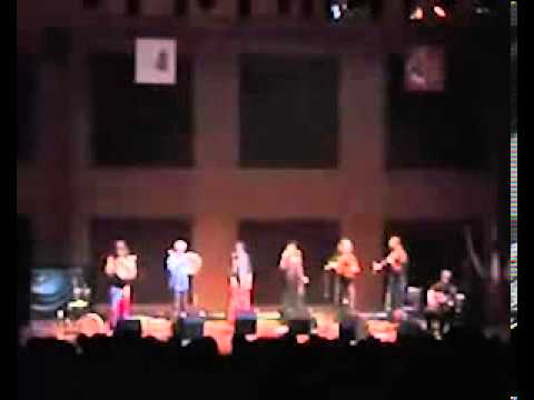 ONDA TG 29.07.2013 - CONCERTO OFFICINA ZOE