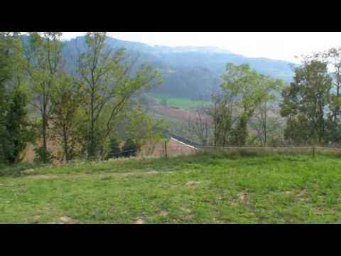 download lagu mp3 mp4 Dhamma Italy, download lagu Dhamma Italy gratis, unduh video klip Dhamma Italy