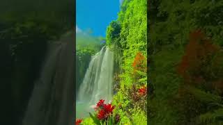 Download lagu Runaway - AURORA (Indonesian Paradise 🇮🇩) watch till the end #ytshorts #ytshort #yt mp3 Download lagu Runaway - AURORA (Indonesian Paradise 🇮🇩) watch till the end #ytshorts #ytshort #yt mp3