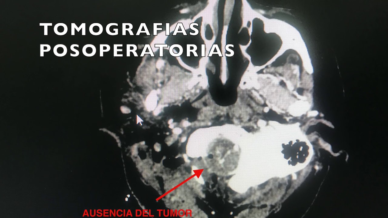 Camilo Contreras Campana-12