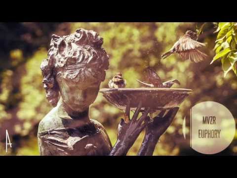 05. MVZR - EUPHORY