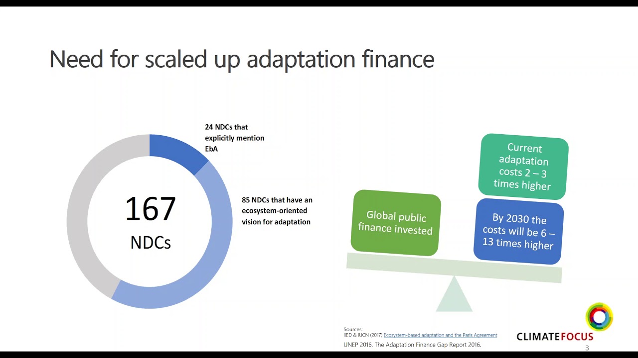 Finance options and instruments for EbA:  Overview and application experiences