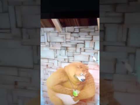 grizzy and the lemmings