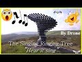 🎵The Singing Ringing tree 🎶 ...Musical sculpture🎵 ...Hear it sing 🎶  .. By Drone