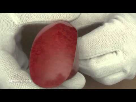 pipa Tom Spanu F - pipe 311