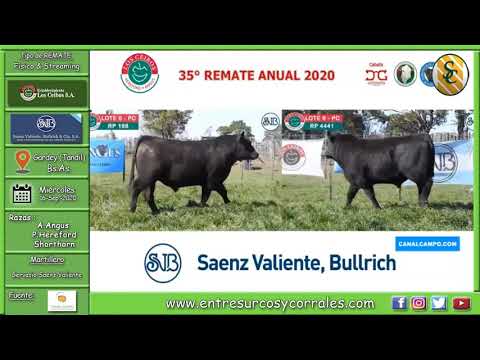 16-09-20-Remate de Cabaña Los Ceibos-Consignataria Saenz Valiente, Bulrich y Cía. S.A. - Gardey