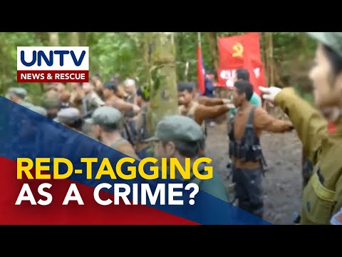 Congress urged to criminalized red-tagging