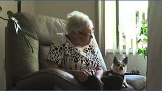 Shelter covers vet costs so seniors can keep their best friends
