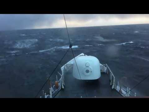 image-Are there sharks in the Bering Sea?
