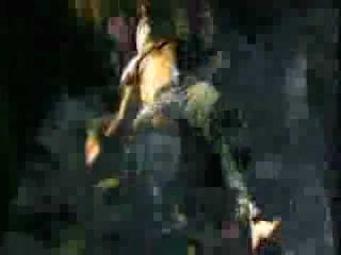 talasemik rocks visu by ptitdiable track by reo(dajefortesys.mpeg