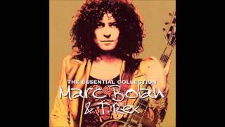 T. Rex &amp; Marc Bolan - Life&#39;s An elevator