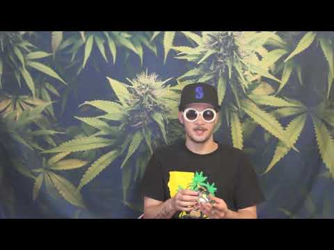 Strain Tasters Cannabis Reviews - Divine Kush Breath