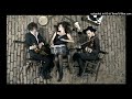 The Veils - One night on earth