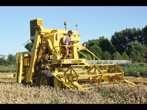 Landb. Meyns - Westkerke - maaidorsen - Clayson M 89