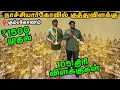 நாச்சியார் கோவில் குத்து விளக்கு At Cheap 