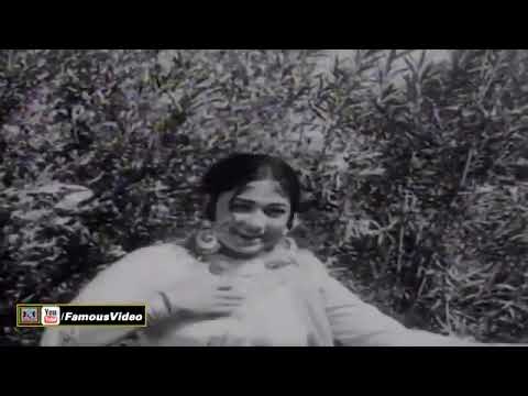 KAISRI DOPATTA GAL KURTI SHANEEL DI - AALIYA - MADAM NOOR JAHAN -    PAKISTANI FILM BASHIRA - MNJ