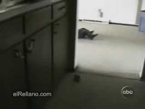 Claramente, no le gusta la cámara! jajaja