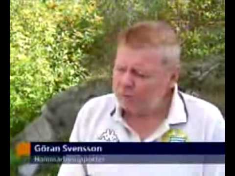 En bajare klargör ett och annat