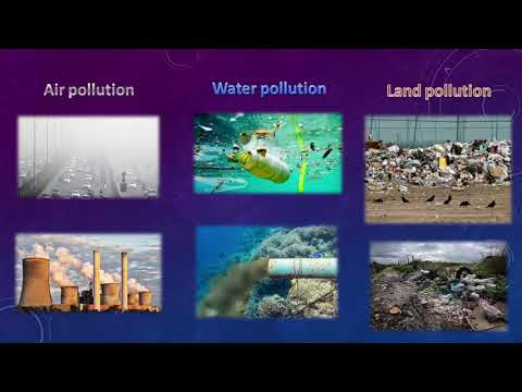 Weather theme Conservation Week 9