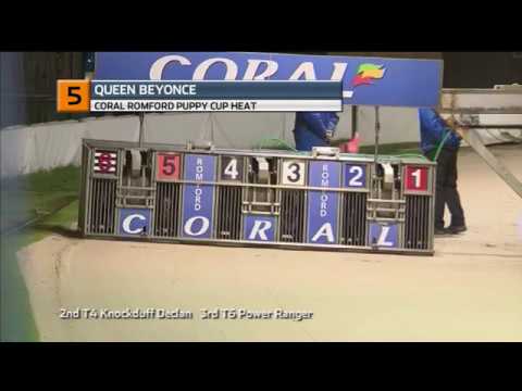 2018 ROMFORD PUPPY CUP - HEAT 4 - T5 QUEEN BEYONCE