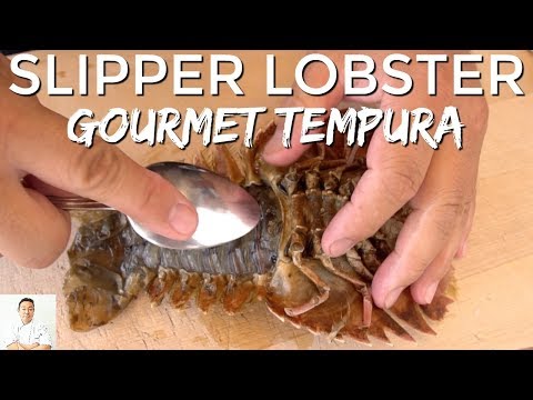 download lagu mp3 mp4 Slipper Lobster Recipe, download lagu Slipper Lobster Recipe gratis, unduh video klip Slipper Lobster Recipe