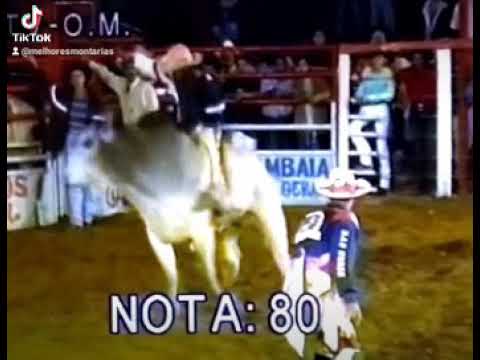 PAULO ALVES ANDRADE - RODEIO DE PAULO DE FARIA 2001