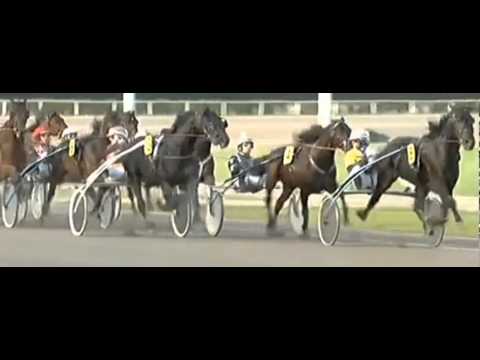 GROSSER PREIS VON DEUTSCHLAND 2013_Dreams Take Time_Johnny Takter