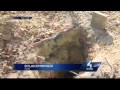 Nearly 200-year-old grave dug up - WTAE-TV Pittsburgh Nearly 200-year-old grave dug up