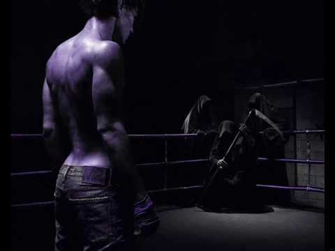 VZ & Synall - Z całych sił