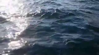 Fever - Azure ray  蔚藍射線