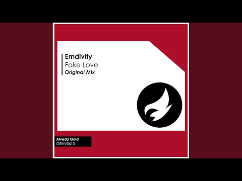 Fake Love (Original Mix)