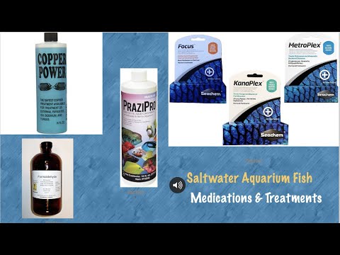 Medications & Treatments