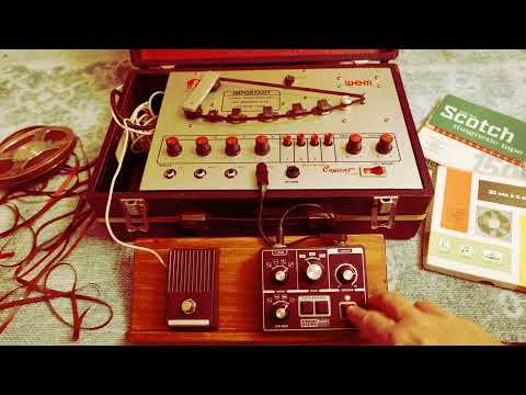 Benidub DS01 Dub Siren & Watkins Copicat Tape Echo