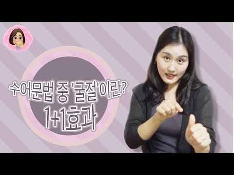 「이란」의 한국수어 표현