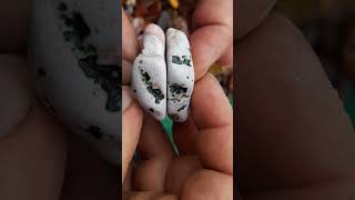 Es war eigentlich mal ein Stein, durch das Trommeln könnte man denken es waren schon immer zwei