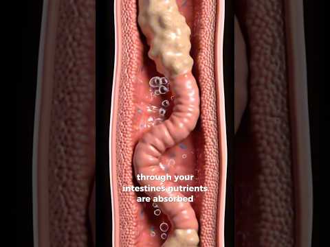 What Happens if You Eat Cat Food?🤮😵‍💫