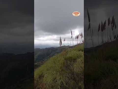 Cóndores en Traslasierra, un espectáculo natural único 🦅♥️