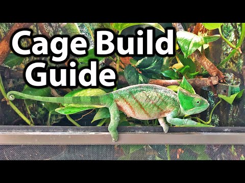, title : 'How to set up a chameleon cage'