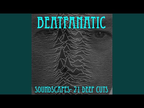 Disco Rhytms