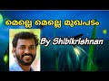 Shibikrishnan Songs Melle Melle Mukhapadam