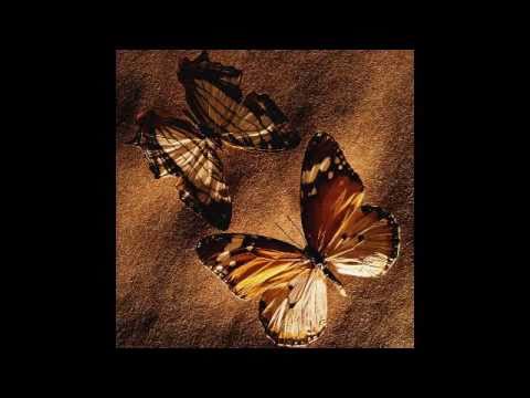 Leona Lewis VS David Guetta - Collide Vocal