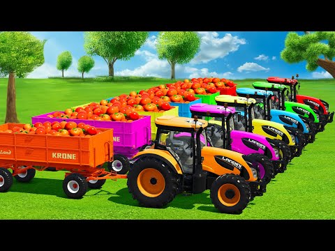 LOAD ORANGES & TRANSPORT WITH LANDINI COLORED TRACTORS - Farming Simulator 25