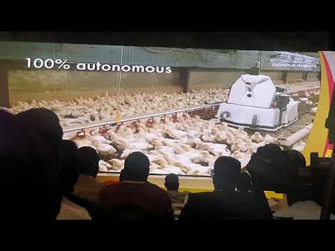 Robot in Poultry Farm #Robotinpoultry #poultryindia2019 #poultryfarm
