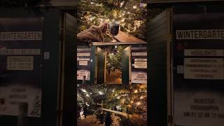 360度もみの木に囲まれた幻想的な世界"冬の森"🎄🍷💫｜Christmas Market in Hannover🇩🇪 #christmas #クリスマス #クリスマスマーケット