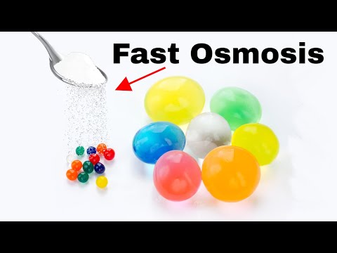 What Happens When You Put Salt on Orbeez? High Speed Water ...