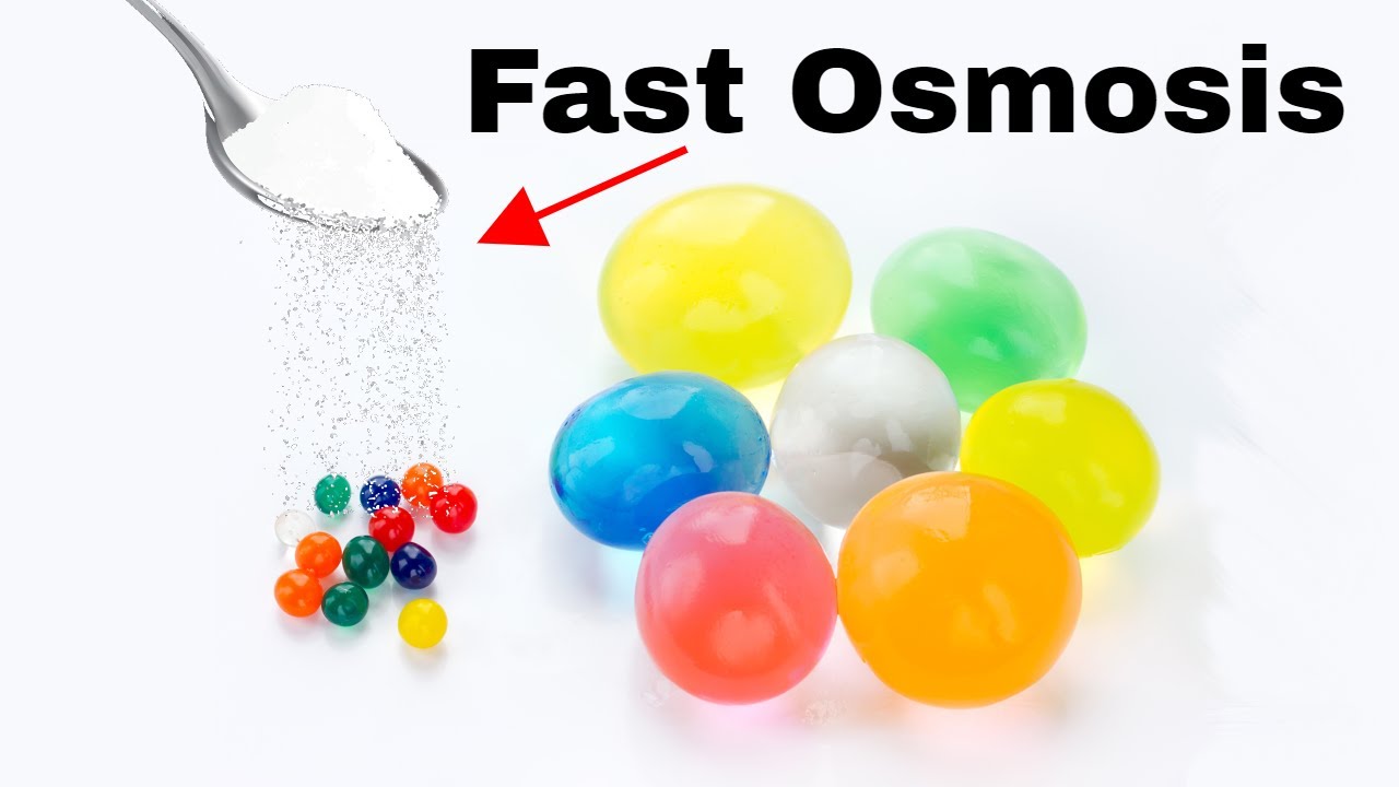 What Happens When You Put Salt on Orbeez? High Speed Water Absorption Experiment