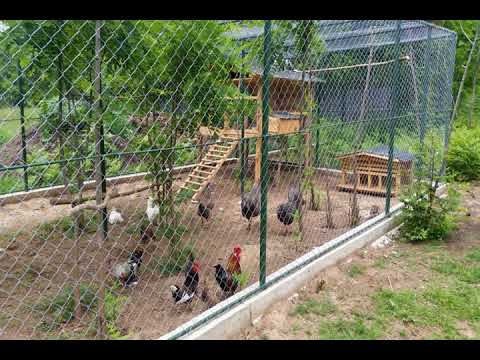 Pensiunea Casa Noastra - Baia de Fier - Romania