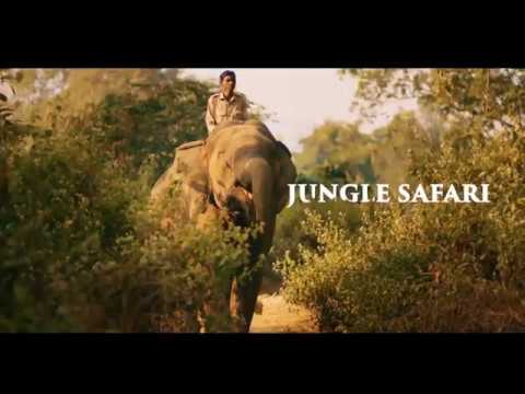 Similipal, Odisha - India's Best Kept Secret