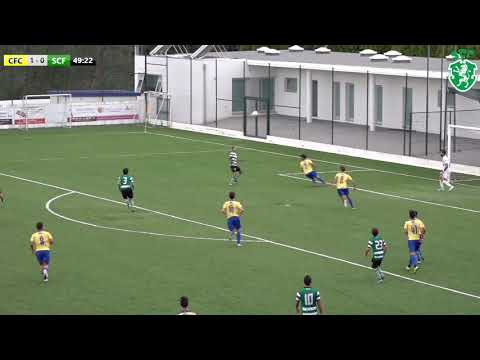 Resumo Alargado ⚽ Canedo FC Vs SC Fermentelos 🎥