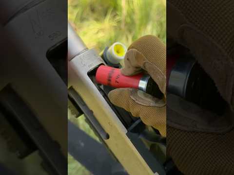 Mossberg 88 vs 500 vs 590